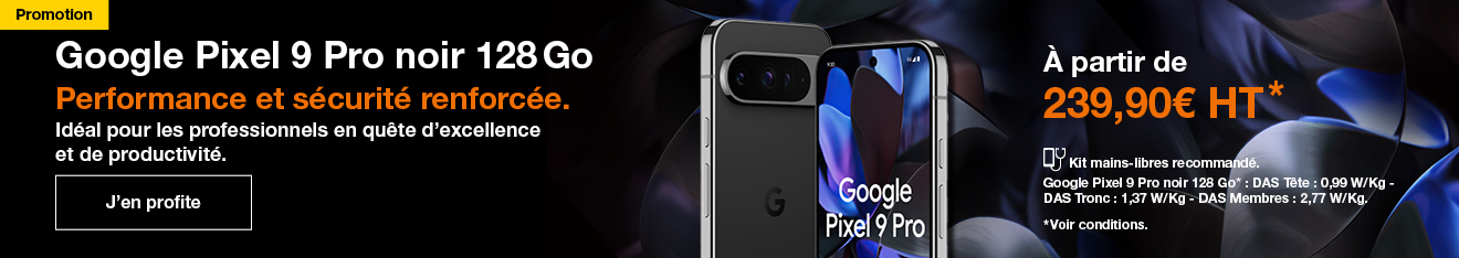 Google Pixel 9 Pro 
